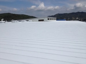 実測データ－JRC様鋼板屋根－ミラクール塗装後写真